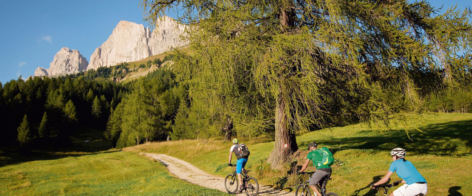 Ebenhof | Urlaub auf dem Bauernhof in Steinegg/Eggetal/Südtirol