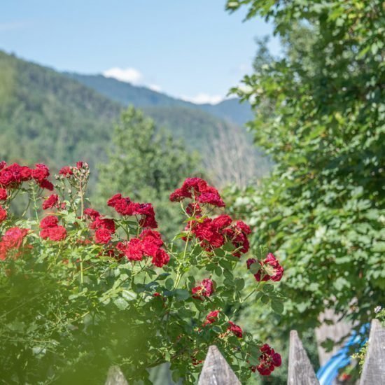 Impressioni da Ebenhof a Collepietra in Val d‘Ega / Alto Adige