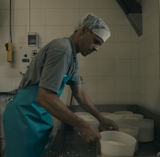 Unsere traditionelle Käserei in Steinegg / Südtirol