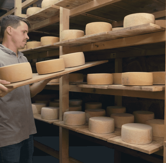 Unsere traditionelle Käserei in Steinegg / Südtirol